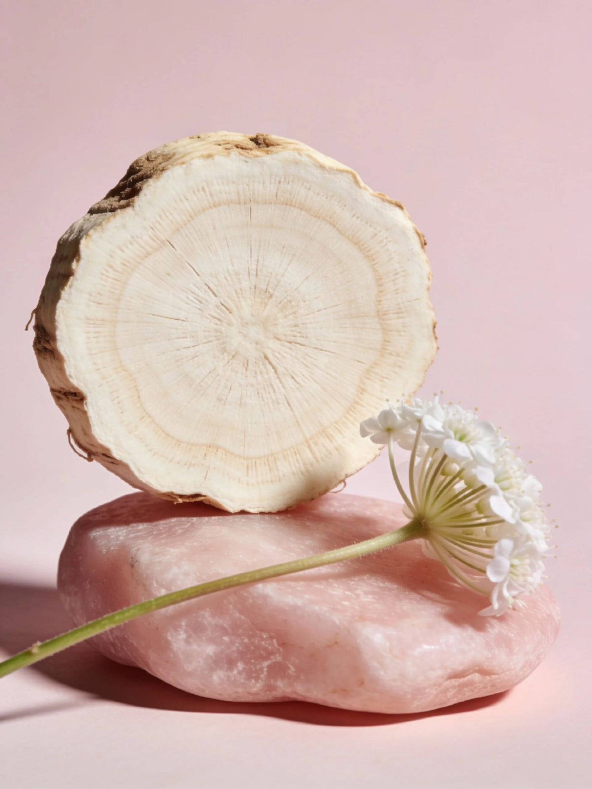 Volufiline ingredient illustration